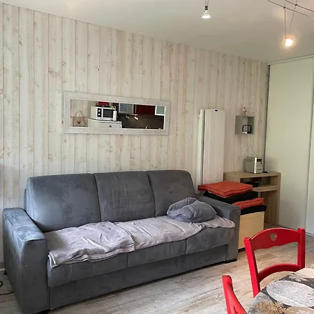 Confort 6 Pers, Animaux Admis, Gourette Apartamento *