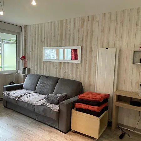 Confort 6 Pers, Animaux Admis, - Fr-1-859-34 * Eaux-Bonnes